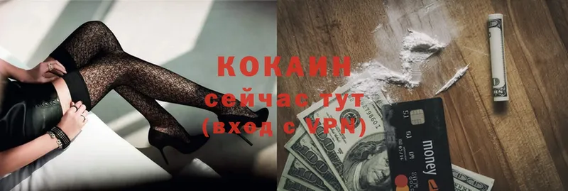 закладки  Княгинино  COCAIN FishScale 